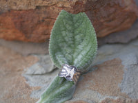 Sunshine Reeves Star Stamped SS Ring