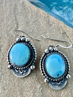 
              Jimmy Lee Golden Hills Lariat & Earrings
            