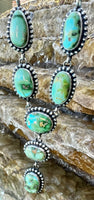 
              Mary Ann Spencer Sonoran Lariat & Earrings
            
