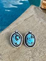 
              Darrin Livingston Blue Moon Squash & Earrings
            
