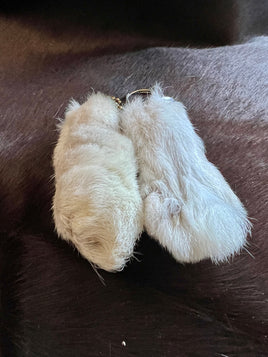 Rabbit Foot
