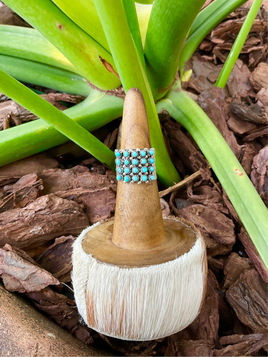 Stephen Halo Turquoise 4 Row Snake Eye Zuni Band Ring