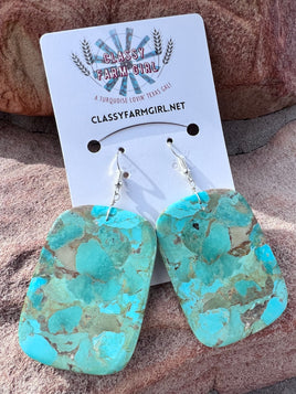 Jameson Pete Turquoise Slab Hook Round Earrings
