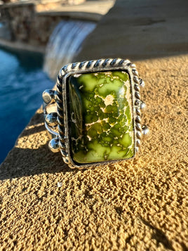 Robert Martinez Sonoran Ring