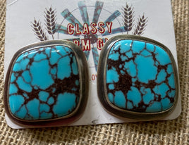Tony Yazzie Egyptian Turquoise SS Post Earrings
