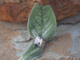 Sunshine Reeves Star Stamped SS Ring